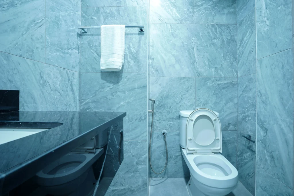 Lake Point Tower JLT Washroom